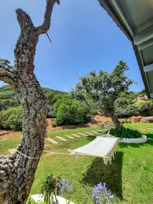 Casa Micheal - Luxury Villa - El Cuarton, 타리파 외부 사진